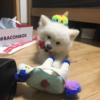 쭈님이 올린 리뷰 사진 2
