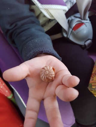 유리님이 올린 리뷰 사진 2