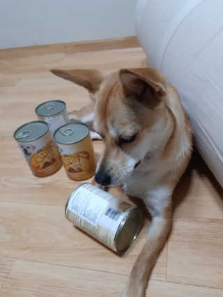 시그니처핫초콜릿님이 올린 리뷰 사진 2