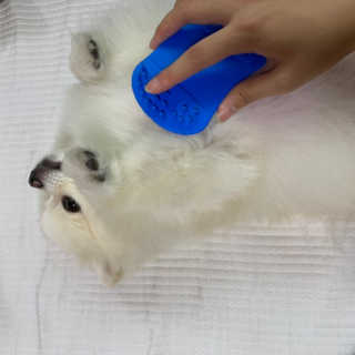 융이님이 올린 리뷰 사진 3