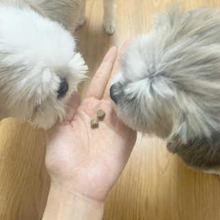 꾸웅다인님이 올린 리뷰 사진 2