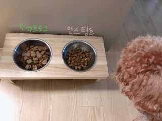 미서지롱님이 올린 리뷰 사진 2