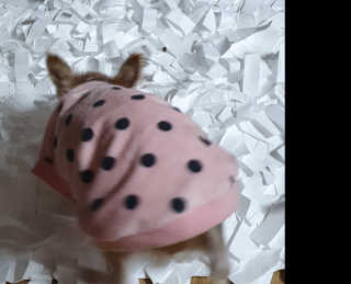 솜희님이 올린 리뷰 사진 3
