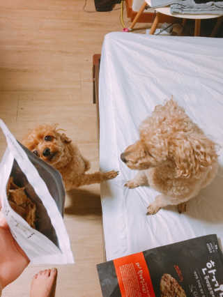 정썰님이 올린 리뷰 사진 4