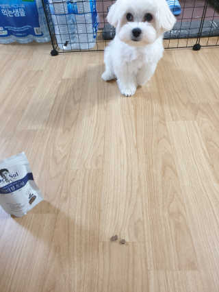 삐랭이님이 올린 리뷰 사진 2