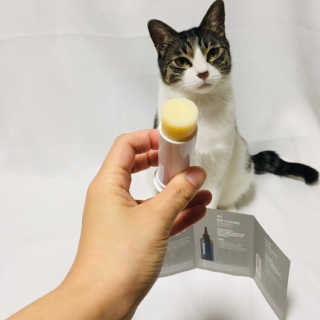 두냥이누나님이 올린 리뷰 사진 4