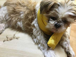 스윽님이 올린 리뷰 사진 2