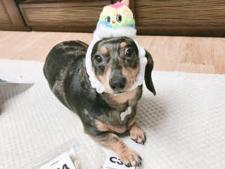 도도쭈님이 올린 리뷰 사진 3