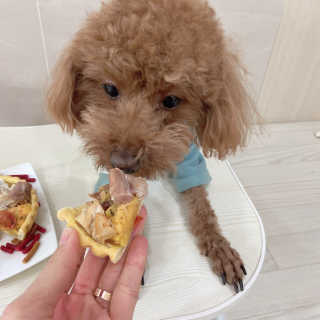 때나님이 올린 리뷰 사진 2