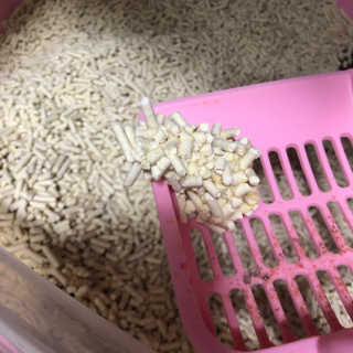[펫토리아] BEST 고양이두부모래 6L 한삽뚝딱 — 2점을 준 리뷰어가 2019년 2월 올린 사용 사진