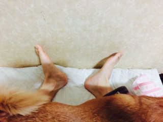 권기표님이 올린 리뷰 사진 4