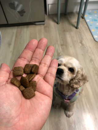 bsweet님이 올린 리뷰 사진 2