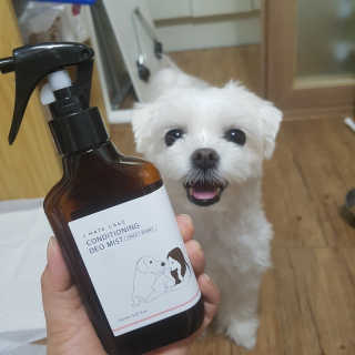 뽀오오옹님이 올린 리뷰 사진 3