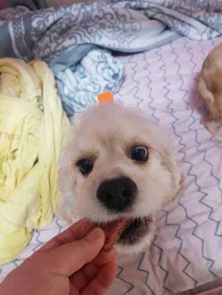 조소민님이 올린 리뷰 사진 4