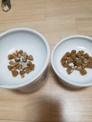 재로우 제로우 펫 도필러스 반려동물 유산균 영양제 70.5g — 4.17점을 준 리뷰어가 2018년 8월 올린 사용 사진