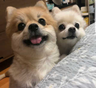 songsong님이 올린 리뷰 사진 4