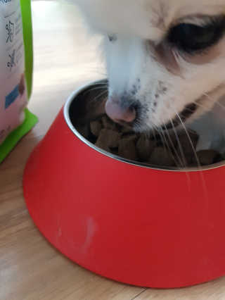 신이신이님이 올린 리뷰 사진 1