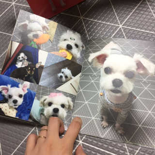 당근님이 올린 리뷰 사진 4