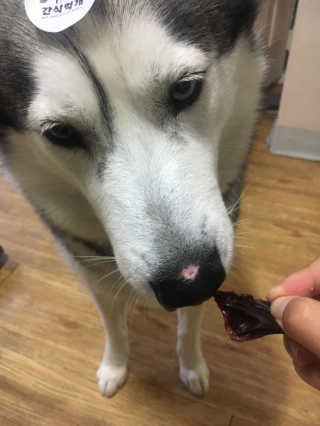 김지애님이 올린 리뷰 사진 3