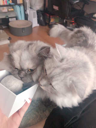 mushroombyjj님이 올린 리뷰 사진 2