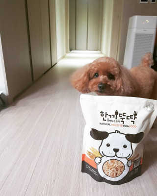 [펫토리아] 맛도 영양도 BEST 한끼뚝딱 강아지 사료 — 5점을 준 리뷰어가 2019년 4월 올린 사용 사진