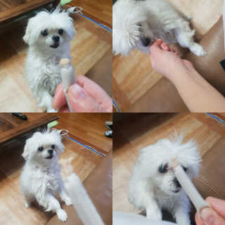 [펫토리아] 뚝딱뚝딱 400g 강아지 간식 베스트5종 — 5점을 준 리뷰어가 2019년 1월 올린 사용 사진