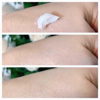Setare님이 올린 리뷰 사진 3