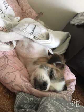 아라아빠님이 올린 리뷰 사진 4