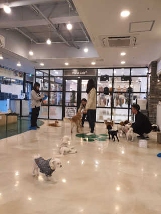 럭키님이 올린 리뷰 사진 3