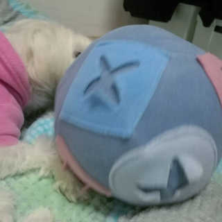 alllove님이 올린 리뷰 사진 2