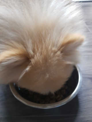 쿠키쿠키님이 올린 리뷰 사진 3