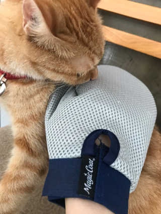 Four paws 리뉴얼 포포즈 매직코트 털 제거 브러쉬 — 4점을 준 리뷰어가 2018년 8월 올린 사용 사진