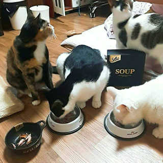 무등아이돌기아님이 올린 리뷰 사진 1