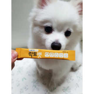 유산균하우스 [프로바이오닉]락토벳 — 5점을 준 리뷰어가 2019년 2월 올린 사용 사진