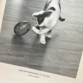 개나리노오란님이 올린 리뷰 사진 3