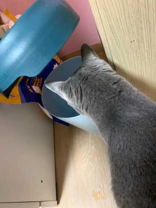 콩톨님이 올린 리뷰 사진 3