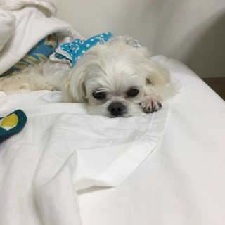 단발소녀님이 올린 리뷰 사진 2