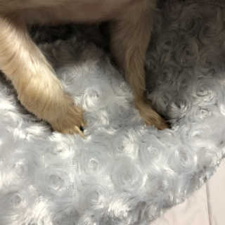 하쿠님이 올린 리뷰 사진 4