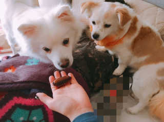 수정님이 올린 리뷰 사진 1