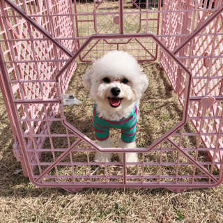 팡이야사랑해님이 올린 리뷰 사진 1