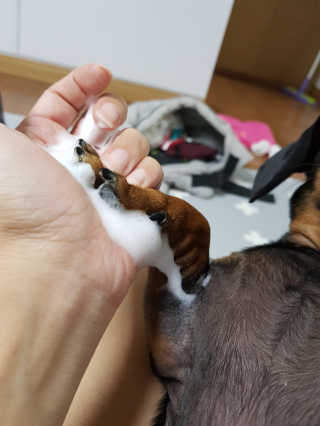단지맘님이 올린 리뷰 사진 4