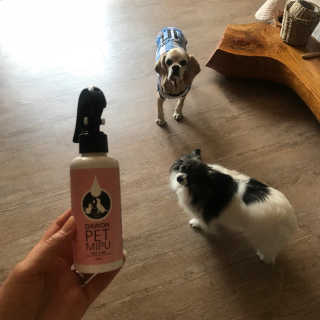 하나마리님이 올린 리뷰 사진 1