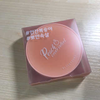 [블랙루즈] 피치 커버 벨벳 쿠션 2종 중 택1 — 5점을 준 리뷰어가 2019년 10월 올린 사용 사진
