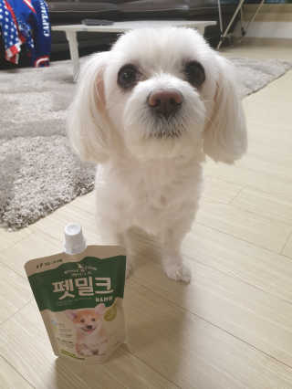 [빙그레] 에버그로 생유산균 1봉（10포입）+펫밀크2팩 — 5점을 준 리뷰어가 2019년 3월 올린 사용 사진