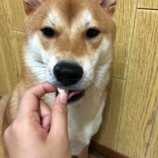 럽녜님이 올린 리뷰 사진 3