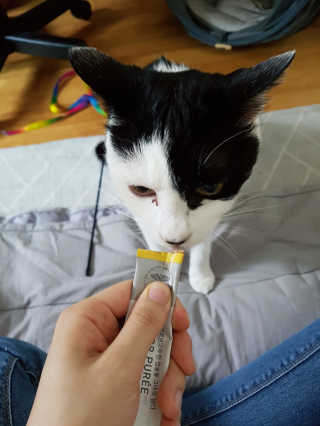 It_Chya님이 올린 리뷰 사진 2