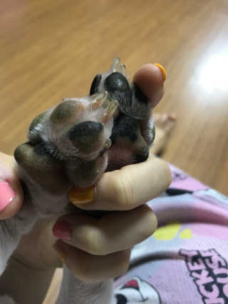 오수빈님이 올린 리뷰 사진 2