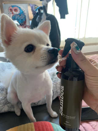 사라님이 올린 리뷰 사진 1