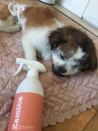 아라아빠님이 올린 리뷰 사진 2