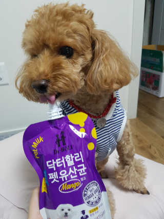 닥터할리펫밀크 8종 — 5점을 준 리뷰어가 2018년 10월 올린 사용 사진